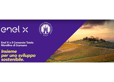 enel x