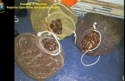 Faraglioni di Capri danneggiati dalla pesca proibita: è disastro ambientale