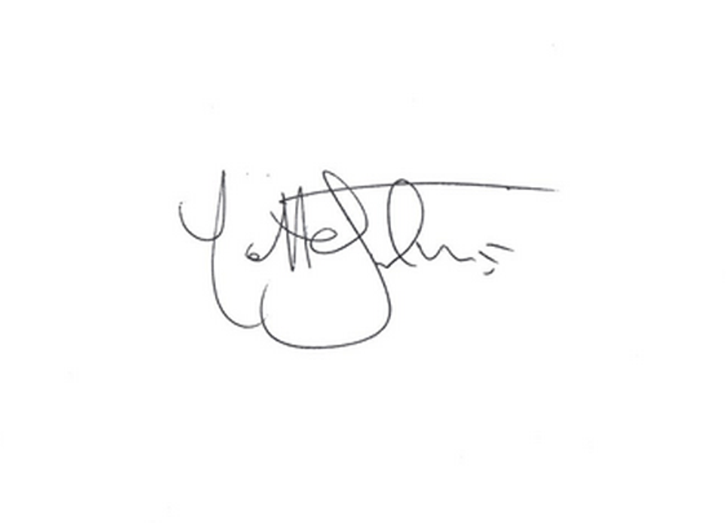 firma matteo salvini