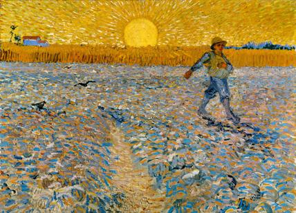 "Van Gogh. I colori della vita" in mostra a Padova