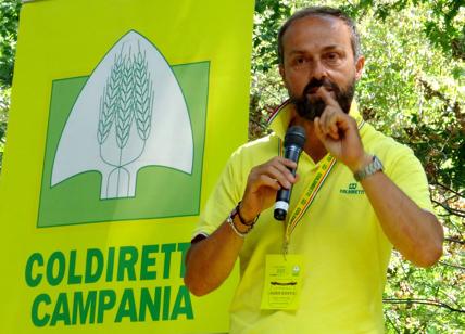 Recovery Plan: Coldiretti, la Campania non può disperdere la green economy