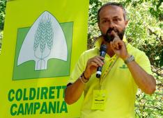 Prodotti tradizionali: la Campania vola a quota 569, primato consolidato