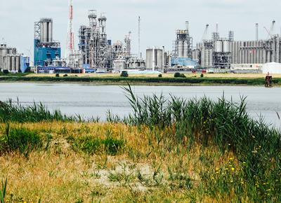 Green Economy Unplash