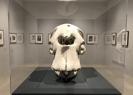 Henry Moore: al Museo Novecento disegni, grafiche, sculture del grande artista