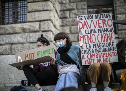 Europa, politica e ambientalismo: in Italia è solo una questione ideologica?