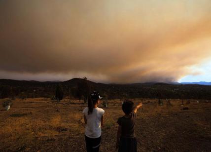 Australia, un anno dopo i mega incendi: 49 specie senza l’80% di habitat