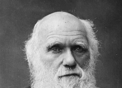 Darwin Day, festa online per il padre della scienza evoluzionista