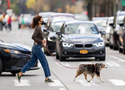 New York, Helena Christensen a passeggio con il suo cane