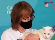 Russia,gatto sordo Achille che predice i risultati di euro 2020 sceglie Italia