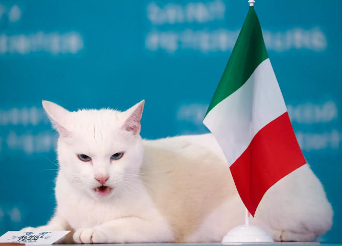 Russia,gatto sordo Achille che predice i risultati di euro 2020 sceglie Italia