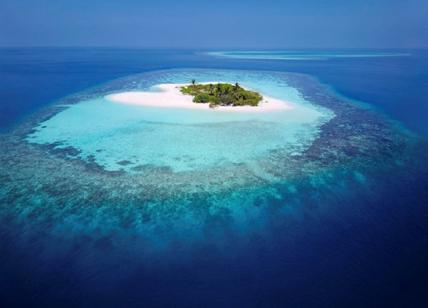 Salvaguardia della barriera corallina: l'università Bicocca vola alle Maldive