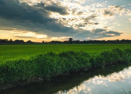 Nasce l'Oasi Ca' Granda, terreni e cascine alle porte di Milano