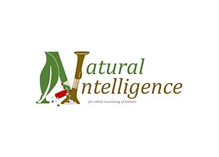 Natural intelligence