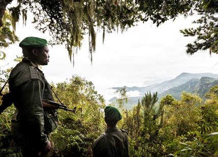 Luca Attanasio, morto nel parco Virunga: una polveriera del patrimonio Unesco