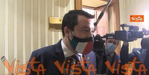 salvini