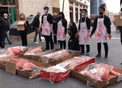 Cadaveri umani confezionati, flashmob choc contro l'uccisione degli agnelli