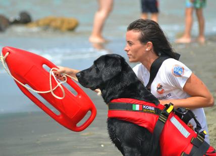 Maurizio Battista: “Dona il 5xmille ai cani bagnini che salvano vite umane”