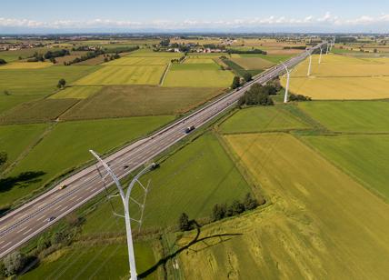 Terna, al via il progetto di riforestazione per le infrastrutture verdi