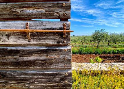 La Puglia esperienziale nella modernità di sedimenti antichi