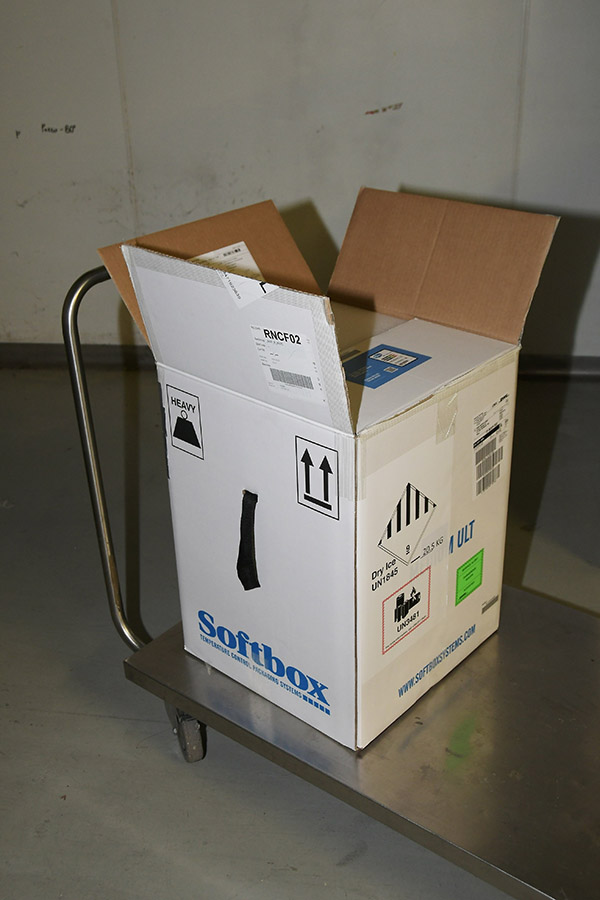 Credit Photo Nick Zonna