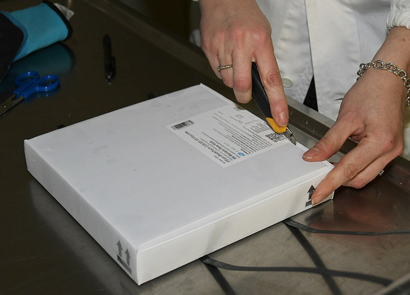 Credit Photo Nick Zonna