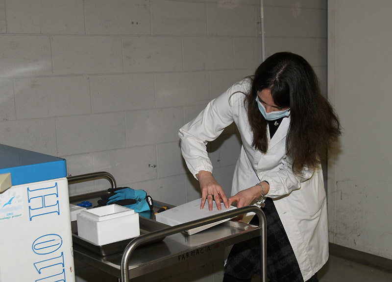 Credit Photo Nick Zonna