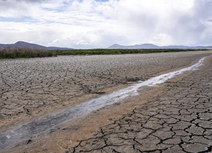 Allarme siccità, Po in secca più che ad agosto: livelli minimi da 30 anni