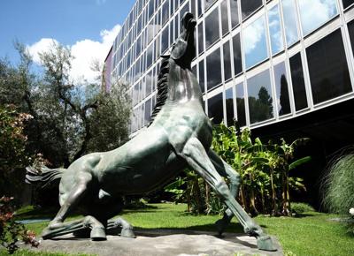 cavallo rai budget rai