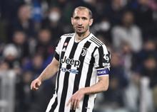 Chiellini, l'ex stella della Juve investe nel food ma la "sua" società non brilla: persi 380 mila euro nel 2023 Chiellini, l'ex stella della Juve investe nel food ma la "sua" società non brilla: persi 380 mila euro nel 2023
