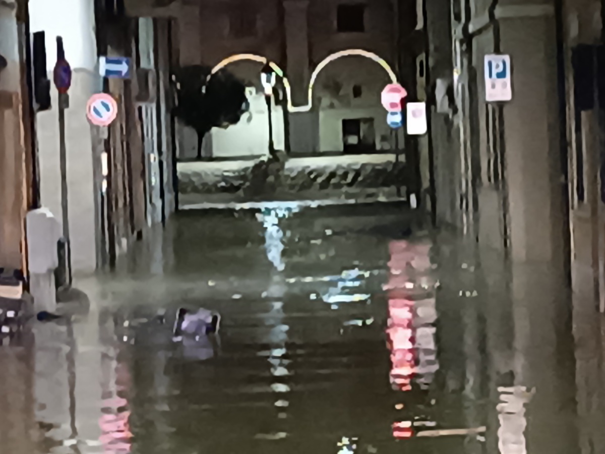 Alluvione nelle Marche, vaste zone allagate a Senigallia dopo l'esondazione del fiume Misa Alluvione nelle Marche, vaste zone allagate a Senigallia dopo l'esondazione del fiume Misa