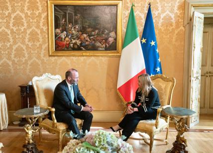 Manfred Weber e Giorgia Meloni