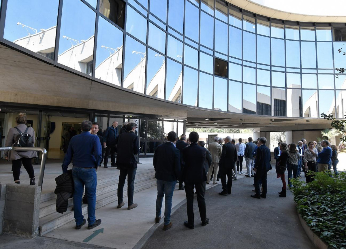 tg1, flatulenze, tribunale