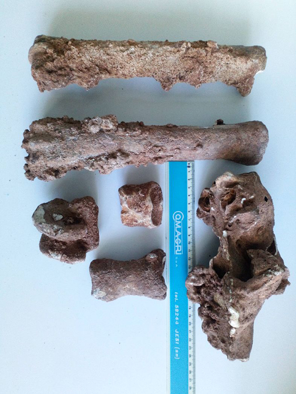 Ceglie Messapica, la città delle grotte: sensazionali scoperte del Pleistocene