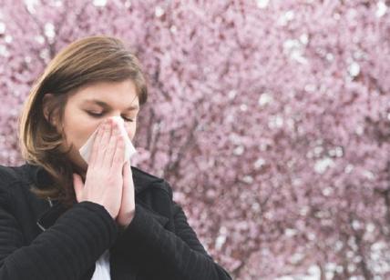 Allergie primaverili, rimedi naturali: 8 consigli per sopravvivere