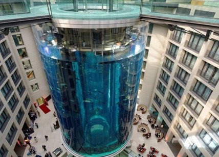 Berlino, è esploso il colossale AquaDom con 1500 pesci tropicali