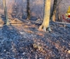 Incendi nei boschi di Como e Varese, l'intervento coi droni
