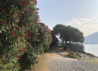 attualeIMG 0225