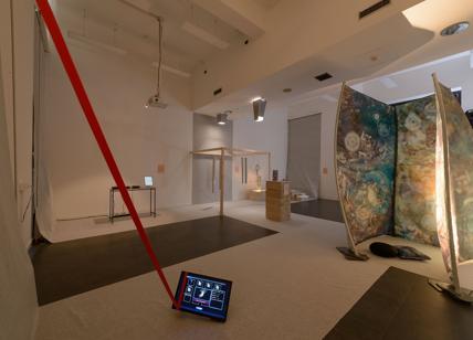 Bacteriart: Yakult e Naba trasformano la microbiologia in arte