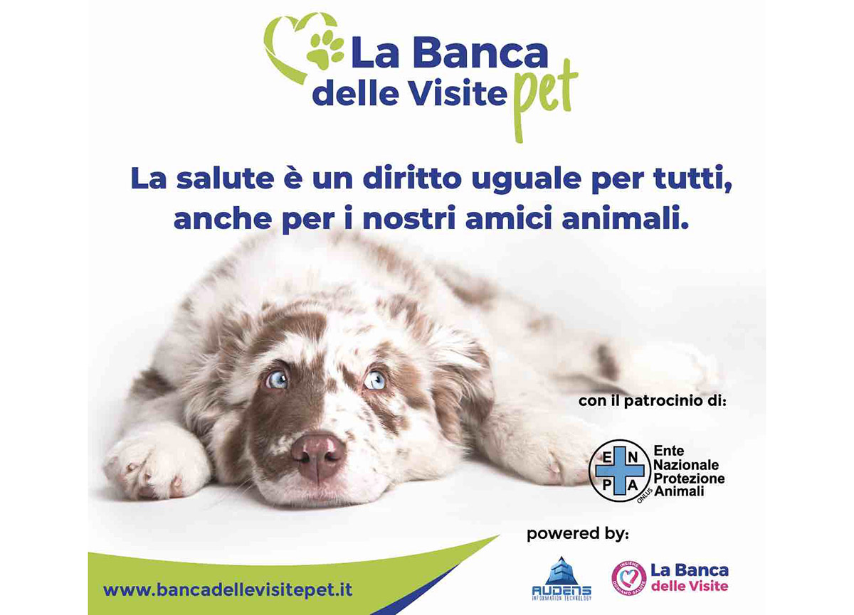 banca delle visite PET FB IG IN