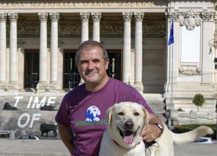 Musei e teatri da cani: la top guida di Bauadvisor per la cultura dog friendly