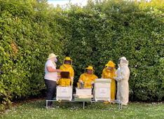 “Bee Korian”: anziani e studenti si prendono cura delle api