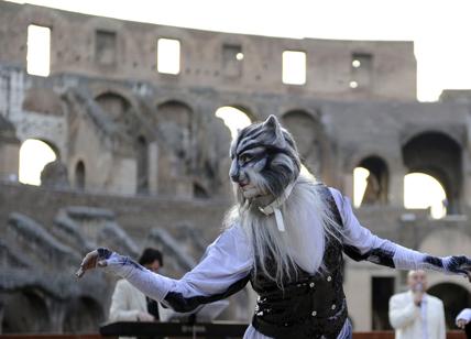 Discarica Colosseo, l'assalto dei felini di Cats. Sarà ambientato a Roma