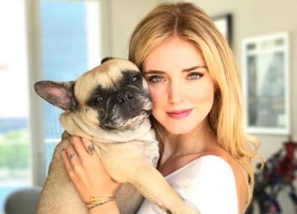 chiara ferragni cane