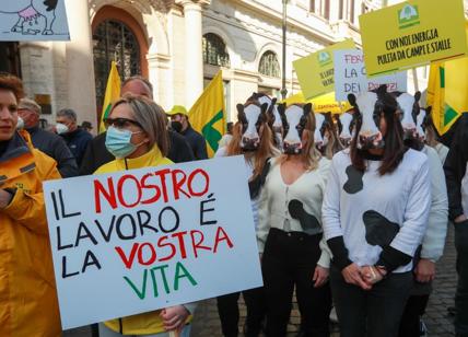 Caro bollette, Coldiretti: "Agricoltori costretti a ridurre la produzione"