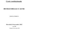 Obbligo vaccini, la Corte decide: previsioni e strategie - Il tg VERO GIORNALE