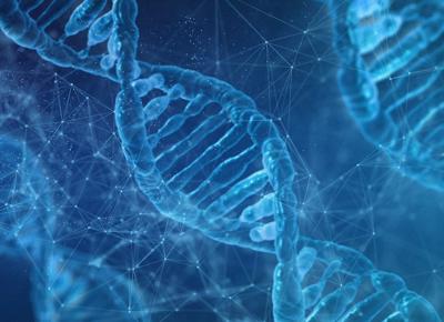 dna g709b73dfe 1280