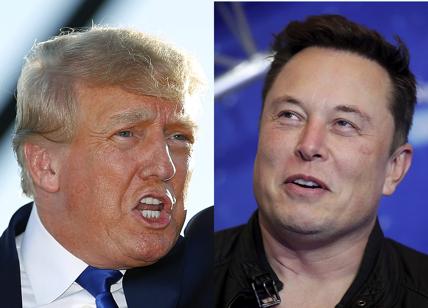 Musk sfotte Trump: "Chiamatelo Tromba. Twitter? Sarà politicamente neutrale"