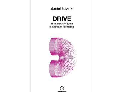 “Drive” di Daniel Pink: cosa guida davvero la motivazione nel lavoro