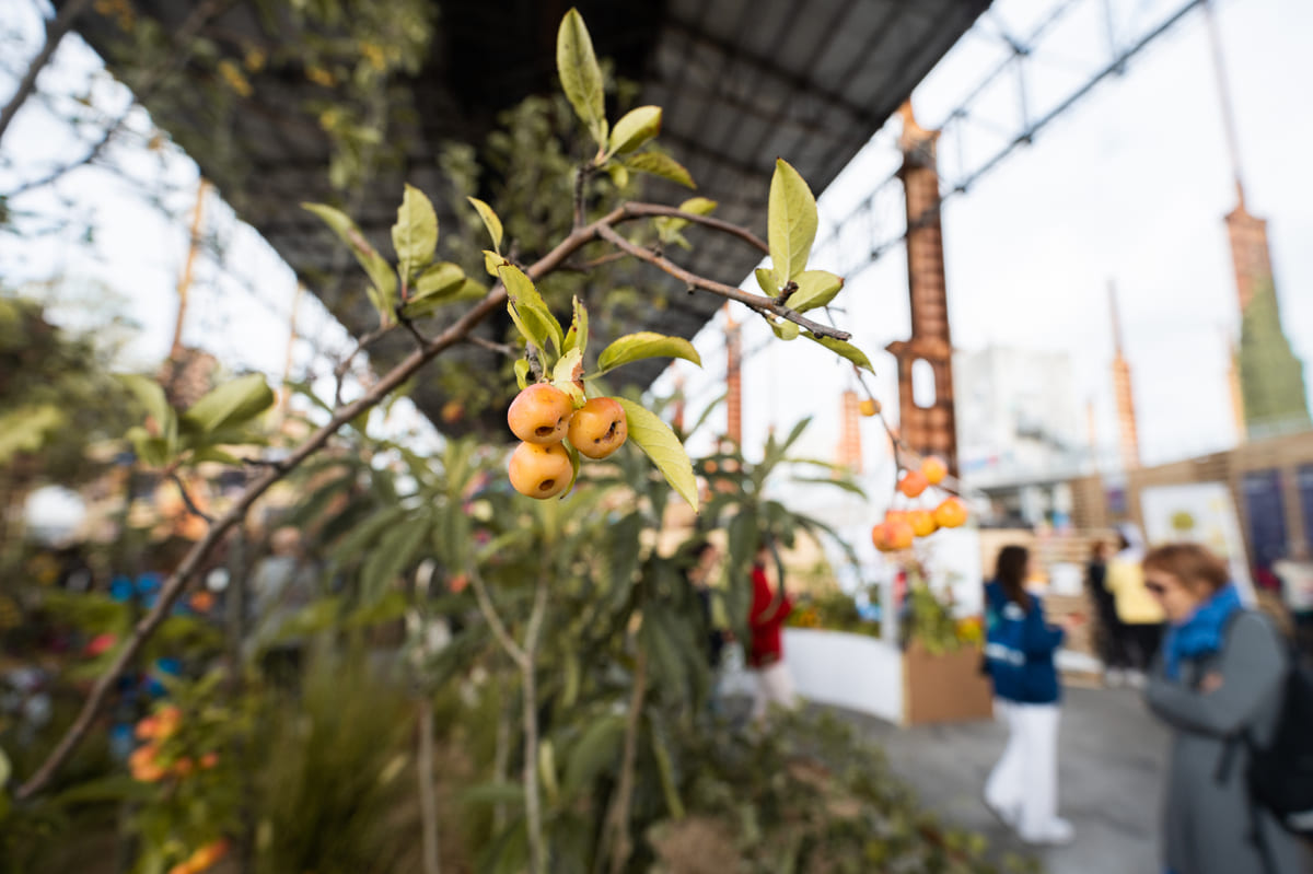 SFCC, nate 29 nuove Comunità Slow Food in nove Paesi e la blockchain SFCC, nate 29 nuove Comunità Slow Food in nove Paesi e la blockchain
