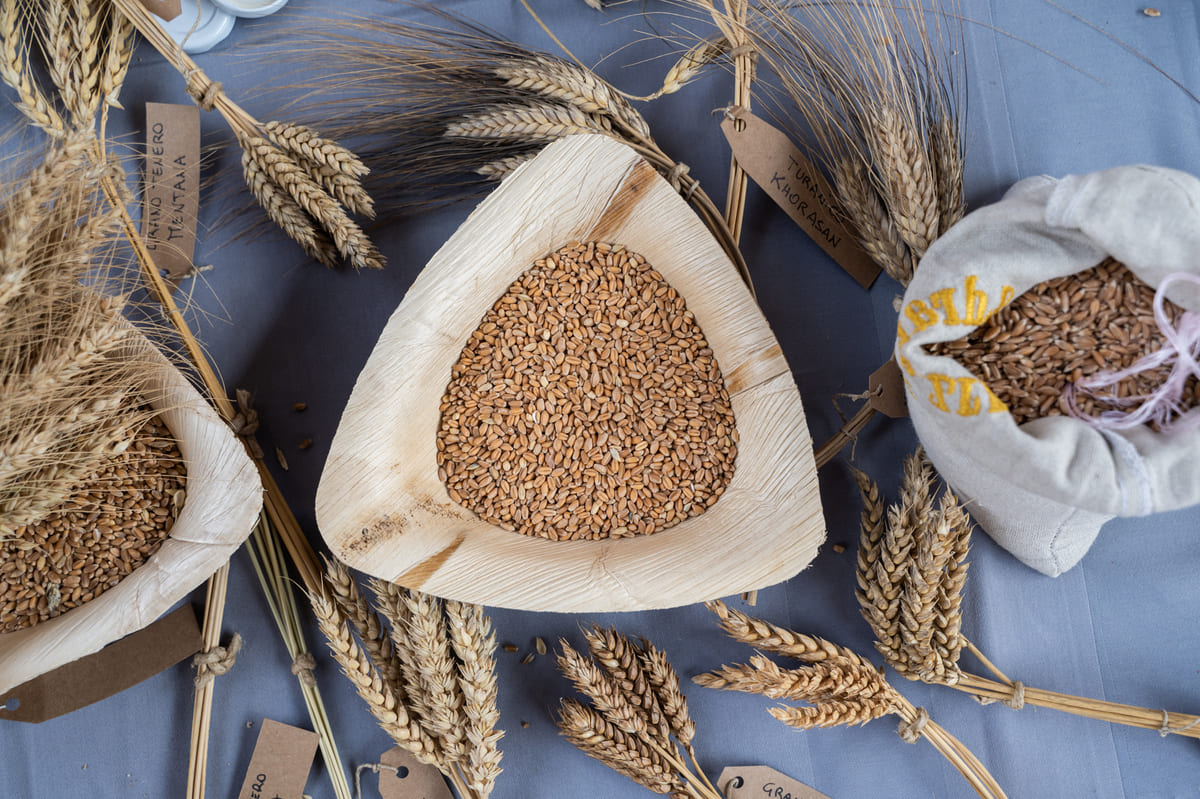 SFCC, nate 29 nuove Comunità Slow Food in nove Paesi e la blockchain SFCC, nate 29 nuove Comunità Slow Food in nove Paesi e la blockchain